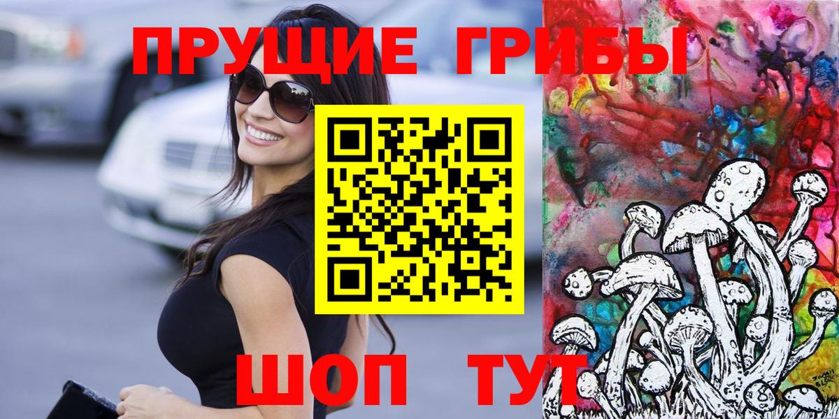Псилоцибиновые грибы Psilocybe  Вход с VPN  Лосино-Петровский 